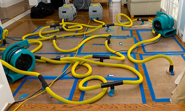 Professional Basement Flood Cleanup technician working in Century, FL